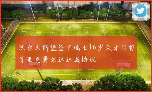 沃尔夫斯堡签下瑞士16岁天才门将亨里克费尔达达成协议